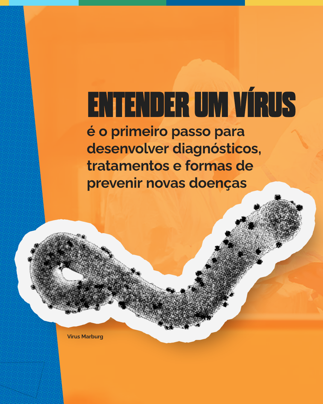 “Entender um vírus é o primeiro passo para desenvolver diagnósticos, tratamentos e formas de prevenir novas doenças”, com micrografia do vírus Marburg